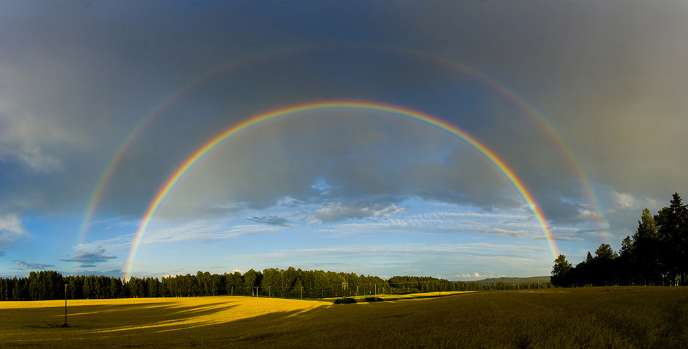 Rainbow in open fields surrounded bij trees. Depicting that it is importants of "Seeing" and addressing the "colored" world created by algoritms and filter bubbles
